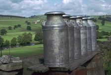 Milk cans at farm gateway
