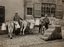 Milk Donkeys, c. 1890. Creator: Frank Meadow Sutcliffe
