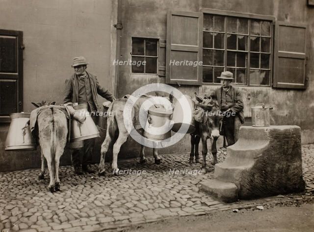 Milk Donkeys, c. 1890. Creator: Frank Meadow Sutcliffe.