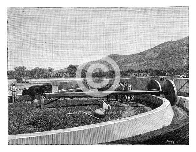 Mill for husking coffee, Central America, c1890. Artist: Unknown