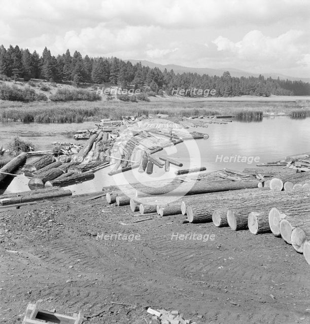 Mill pond, Klamath River beyond, Keno, Klamath County, Oregon, 1939. Creator: Dorothea Lange.