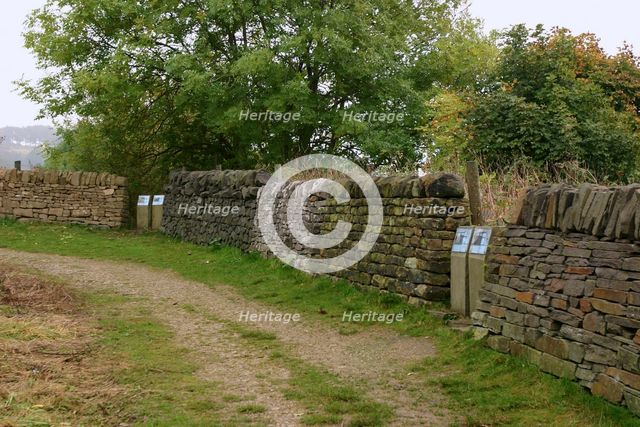 Millennium Wall, the National Stone Centre, Derbyshire.  Creator: Peter Thompson.