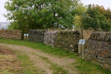 Millennium Wall, the National Stone Centre, Derbyshire. Creator: Peter Thompson