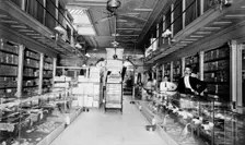 Miller Walker store, Augusta, Ga., between 1895 and 1910. Creator: Unknown