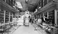 Miller Walker store, Augusta, Ga., between 1895 and 1910. Creator: Unknown