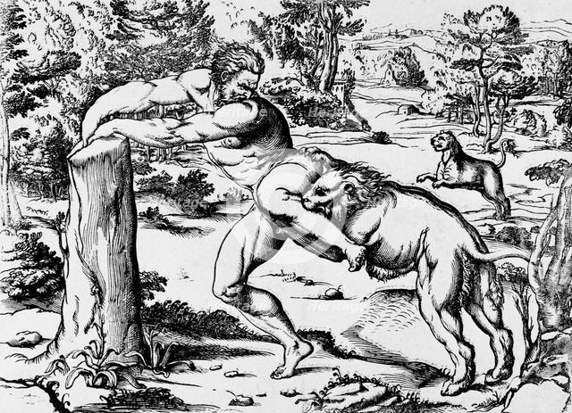 Milo of Croton, c1540. Creators: Nicolo Boldrini, Pordenone.