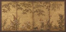 Mimosa tree, poppies and other summer flowers, Edo period, 1630-1670. Creator: Tawaraya Sosetsu