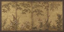 Mimosa tree, poppies and other summer flowers, Edo period, 1630-1670. Creator: Tawaraya Sosetsu