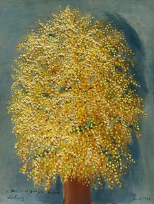 Mimosas, 1942. Creator: Kisling, Moïse (1891-1953)