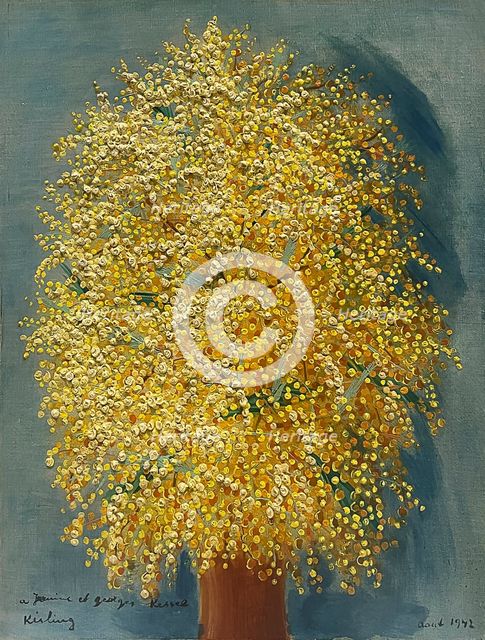 Mimosas, 1942. Creator: Kisling, Moïse (1891-1953).