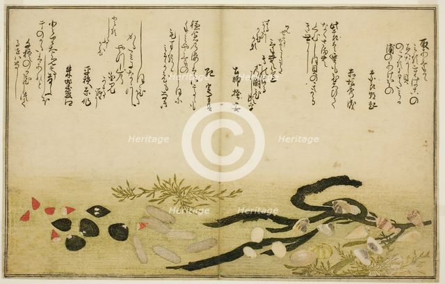 Minashi-gai, shio-gai, katatsu-gai, miso-gai, chijimi-gai, and chigusa-gai, from the illus..., 1789. Creator: Kitagawa Utamaro.