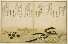 Minashi-gai, shio-gai, katatsu-gai, miso-gai, chijimi-gai, and chigusa-gai, from the illus..., 1789. Creator: Kitagawa Utamaro