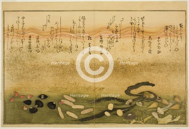 Minashi-gai, shio-gai, katatsu-gai, miso-gai, chijimi-gai, and chigusa-gai, from the illus..., 1789. Creator: Kitagawa Utamaro.