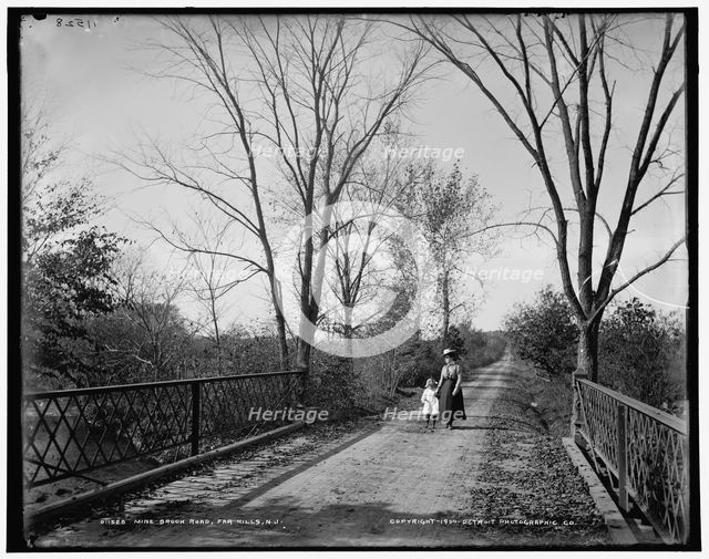 Mine Brook Road, Far Hills, N.J., c1900. Creator: Unknown.