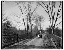 Mine Brook Road, Far Hills, N.J., c1900. Creator: Unknown