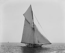Mineola, Corinthian Sweepstakes, August 17, 1891, 1891 Aug 17. Creator: Unknown