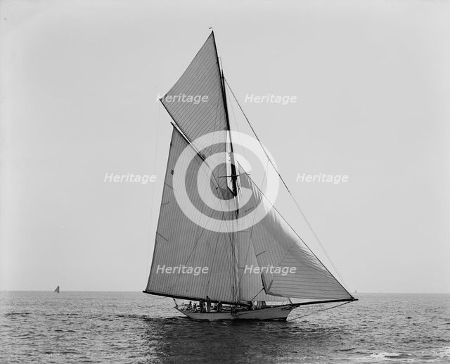 Mineola, Corinthian Sweepstakes, August 17, 1891, 1891 Aug 17. Creator: Unknown.