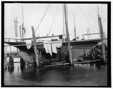 Minerva, profile, between 1880 and 1899. Creator: Unknown