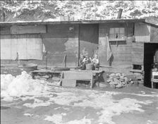 Miner's shack, Blue Blaze coal mine, Consumers, near Price, Utah, 1936. Creator: Dorothea Lange