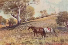 Mining Prospectors 1923. Creator: Unknown