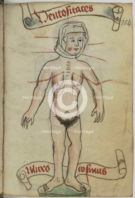 Miniature from Recueil de prières, suivi de notions astrologiques (Allemand 124), 15th century. Creator: Anonymous master.