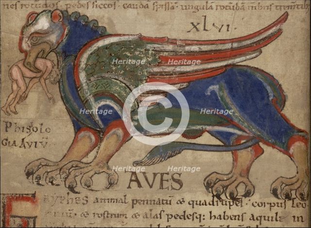Miniature from the Manuscript Liber Floridus.
