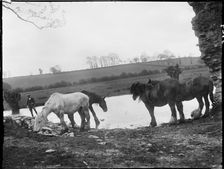 Minster Lovell, West Oxfordshire, Oxfordshire, 1924. Creator: Katherine Jean Macfee