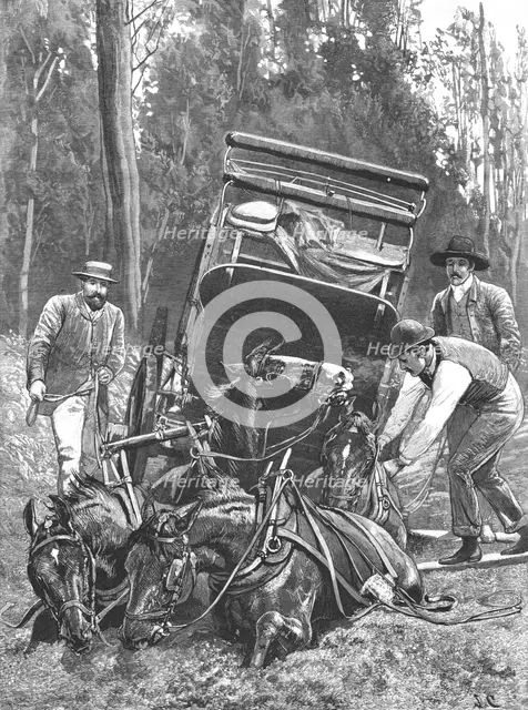 ''"Mired" -- Travelling under difficulties in Tasmania', 1890. Creator: Unknown.