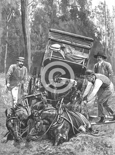 ''"Mired" -- Travelling under difficulties in Tasmania', 1890. Creator: Unknown.