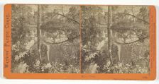 Mirror View, Yosemite Valley, Mariposa County, Cal., 1861/76. Creator: Carleton Emmons Watkins