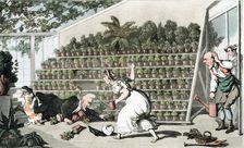 Misfortune in the Tulip Hall c1816. Artist: Thomas Rowlandson