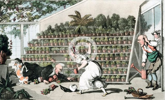 'Misfortune in the Tulip Hall', c1816. Artist: Thomas Rowlandson