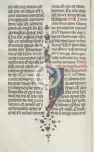 Missale: Fol. 22v: Foliage with Fish, 1469. Creator: Bartolommeo Caporali (Italian, c. 1420-1503).