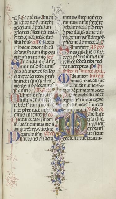 Missale: Fol. 260: Foliage with Fruit, 1469. Creator: Bartolommeo Caporali (Italian, c. 1420-1503).