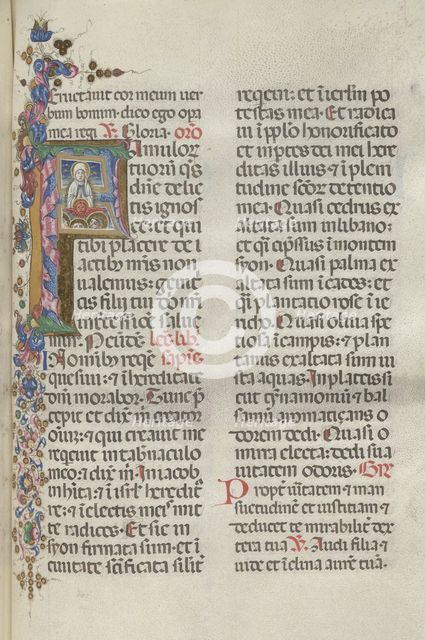 Missale: Fol. 306: Assumption of the Virgin, 1469. Creator: Bartolommeo Caporali (Italian, c. 1420-1503).