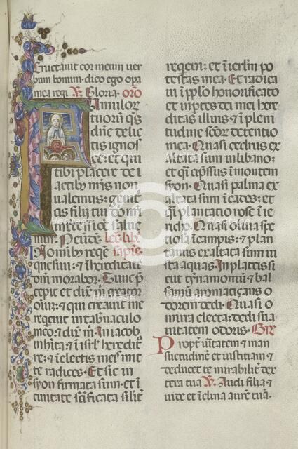 Missale: Fol. 306: Assumption of the Virgin, 1469. Creator: Bartolommeo Caporali (Italian, c. 1420-1503).