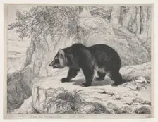 Mississippi Bear, 1836. Creator: Antoine-Louis Barye