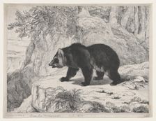 Mississippi Bear, 1836. Creator: Antoine-Louis Barye