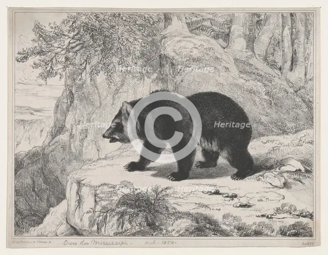 Mississippi Bear, 1836. Creator: Antoine-Louis Barye.