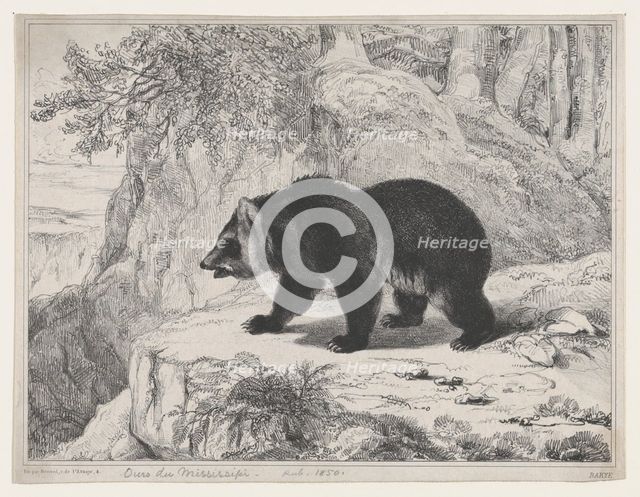 Mississippi Bear, 1836. Creator: Antoine-Louis Barye.