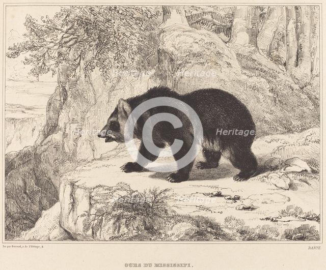 Mississippi Bear, 1836. Creator: Antoine-Louis Barye.