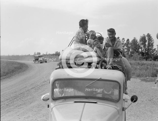 Mississippi Delta, on Mississippi highway No. 1 between Greenville and Clarksdale, 1938. Creator: Dorothea Lange.