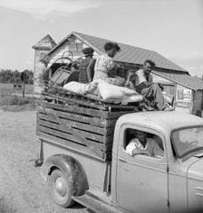 Mississippi Delta, on Mississippi Highway No. 1 between Greenville and Clarksdale , 1938. Creator: Dorothea Lange
