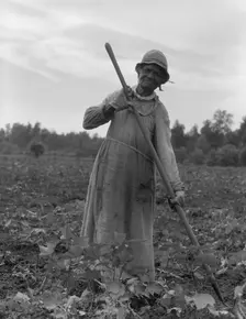 Mississippi Negress hoeing cotton, 1937. Creator: Dorothea Lange