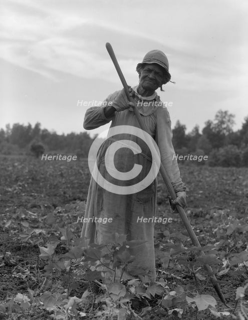 Mississippi Negress hoeing cotton, 1937. Creator: Dorothea Lange.