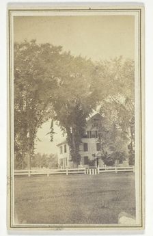 Miss Brown's house and curious elm cross., mid-late 19th century. Creator: H. O. Bly