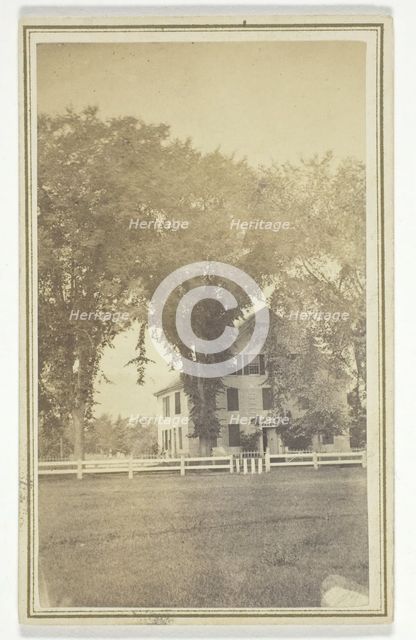 Miss Brown's house and curious elm cross., mid-late 19th century.  Creator: H. O. Bly.