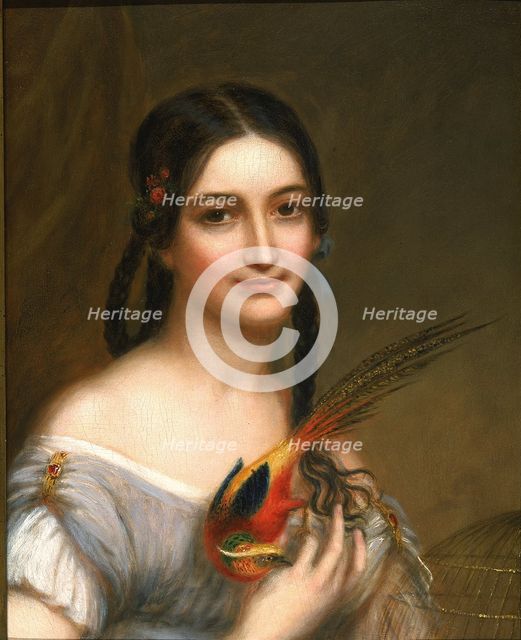 Miss Satterlee, ca. 1830-1839. Creator: Charles Bird King.