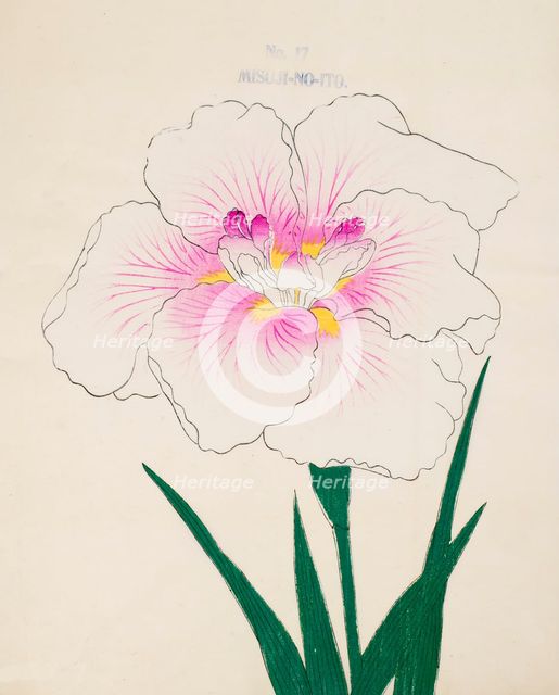 Misuji-No-Ito, No.17, 1890, (colour woodblock print)