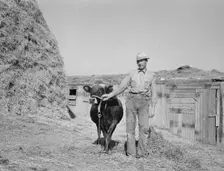 Mr. Botner with bull which he owns..., Nyssa Heights, Malheur County, Oregon, 1939. Creator: Dorothea Lange